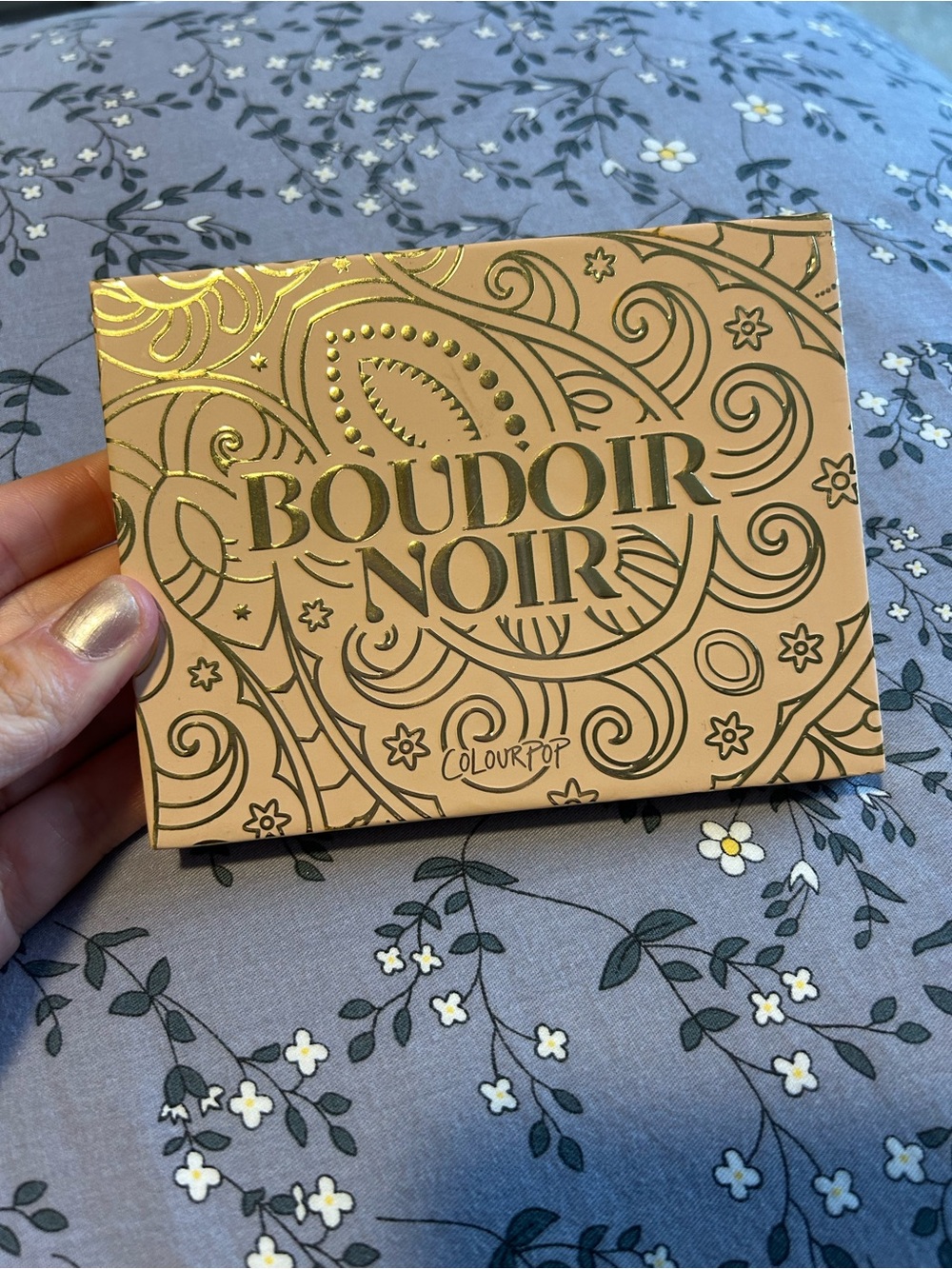 ColourPop Boudoir Noir Eyeshadow Palette